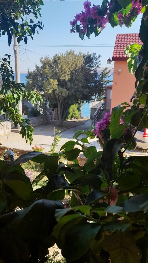 Apartmani Ivankovic Karlobag Rom bilde